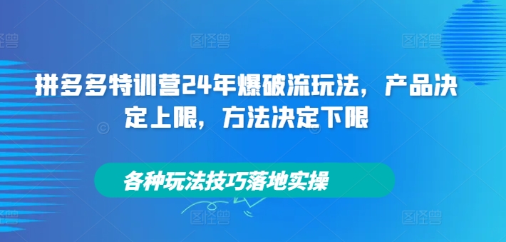 【第8253期】拼多多特训营24年爆破流玩法，各种玩法技巧落地实操