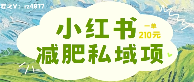 小红书减肥粉，私域变现项目，一单就达210元，小白也能轻松上手网赚项目-副业赚钱-互联网创业-资源整合四水哥网创网赚