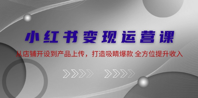 小红书变现运营课：从店铺开设到产品上传，打造吸睛爆款 全方位提升收入-梦落网