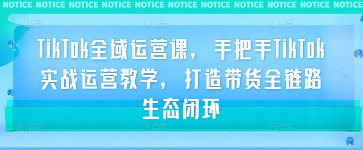 TikTok全域运营课，手把手TikTok实战运营教学，打造带货全链路生态闭环网赚项目-副业赚钱-互联网创业-资源整合华本网创