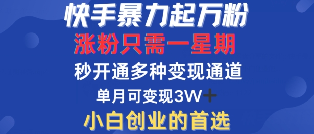 快手暴力起万粉，涨粉只需一星期，多种变现模式，直接秒开万合，单月变现过W网赚项目-副业赚钱-互联网创业-资源整合歪妹网赚