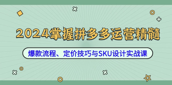 2024掌握拼多多运营精髓：爆款流程、定价技巧与SKU设计实战课网赚项目-副业赚钱-互联网创业-资源整合华本网创