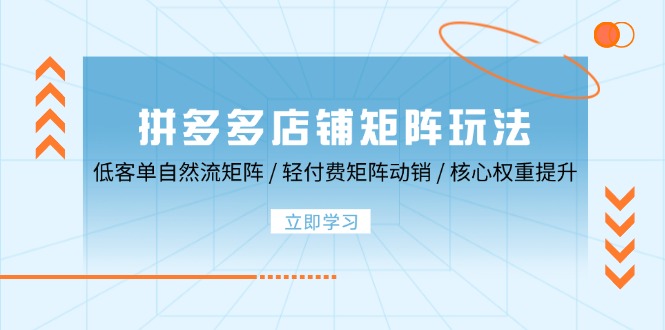 拼多多店铺矩阵玩法：低客单自然流矩阵 / 轻付费矩阵 动销 / 核心权重提升网赚教程-副业赚钱-互联网创业-手机赚钱-网赚项目-98副业网-精品课程-知识付费-网赚创业网98副业网