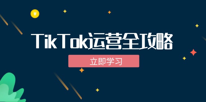 TikTok实战运营全攻略：从下载软件到变现，抖音海外版实操教程网赚项目-副业赚钱-互联网创业-资源整合歪妹网赚