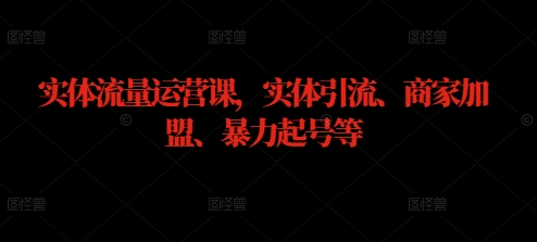 实体流量运营课，实体引流、商家加盟、暴力起号等网赚教程-副业赚钱-互联网创业-手机赚钱-网赚项目-98副业网-精品课程-知识付费-网赚创业网98副业网