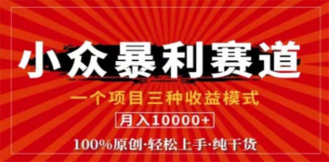 视频号最新爆火赛道，三种可收益模式，0粉新号条条原创条条热门 日入1000+网赚项目-副业赚钱-互联网创业-资源整合轻创联盟