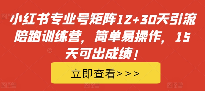 小红书专业号矩阵12+30天引流陪跑训练营，简单易操作，15天可出成绩!资源整合BMpAI