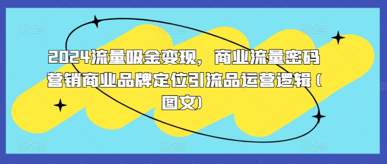 2024流量吸金变现，商业流量密码营销商业品牌定位引流品运营逻辑(图文)网赚项目-副业赚钱-互联网创业-资源整合歪妹网赚