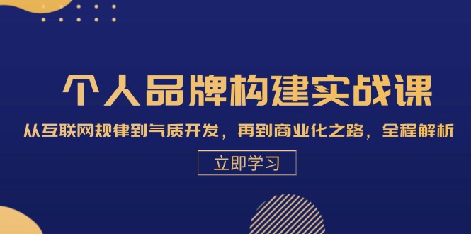 个人品牌构建实战课：从互联网规律到气质开发，再到商业化之路，全程解析网赚项目-副业赚钱-互联网创业-资源整合歪妹网赚