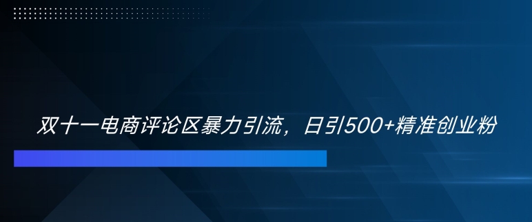 双十一电商评论区暴力引流，日引500+精准创业粉-梦落网