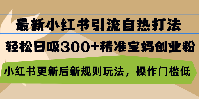 最新小红书引流自热打法，轻松日吸300+精准宝妈创业粉，小红书更新后新…-飞秋社