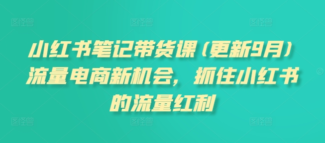 小红书笔记带货课(更新10月)流量电商新机会，抓住小红书的流量红利资源整合BMpAI