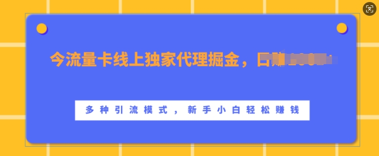 流量卡线上独家代理掘金，日入1k+ ，多种引流模式，新手小白轻松上手-百盟网