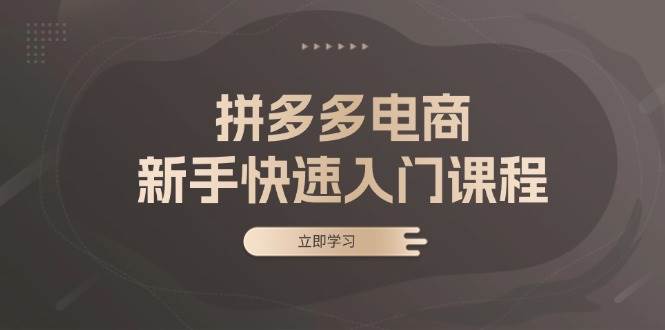 拼多多电商新手快速入门课程：涵盖基础、实战与选款，助力小白轻松上手资源整合BMpAI