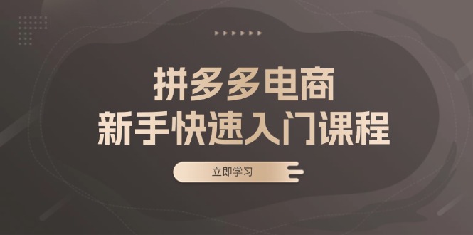 拼多多电商新手快速入门课程：涵盖基础、实战与选款，助力小白轻松上手网赚项目-副业赚钱-互联网创业-资源整合轻创联盟