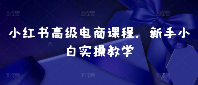 小红书高级电商课程，新手小白实操教学网赚项目-副业赚钱-互联网创业-资源整合四水哥网创网赚