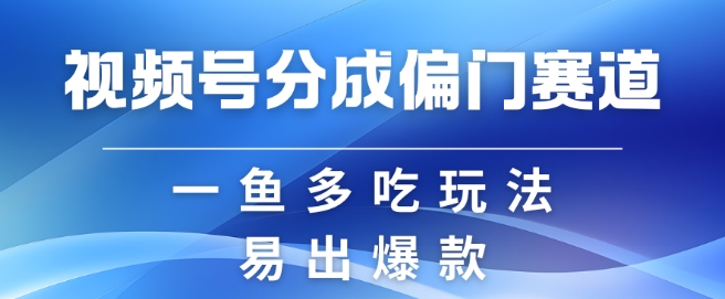 视频号创作者分成计划偏门类目，容易爆流，实拍内容简单易做网赚项目-副业赚钱-互联网创业-资源整合四水哥网创网赚