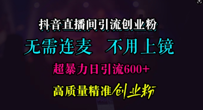 抖音直播间引流创业粉，无需连麦、无需上镜，超暴力日引流600+高质量精准创业粉网赚项目-副业赚钱-互联网创业-资源整合歪妹网赚