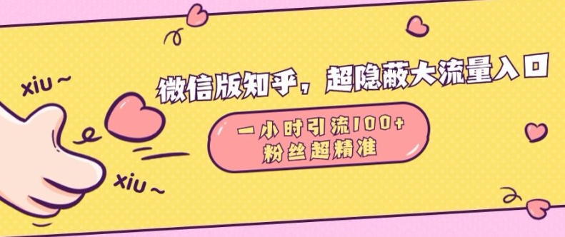 微信版知乎，超隐蔽流量入口1小时引流100人，粉丝质量超高网赚项目-副业赚钱-互联网创业-资源整合歪妹网赚