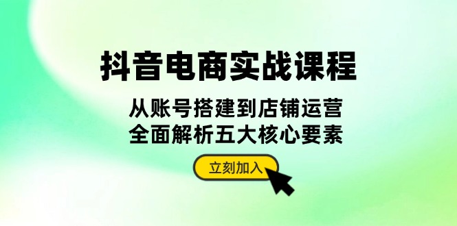 抖音 电商实战课程：从账号搭建到店铺运营，全面解析五大核心要素网赚项目-副业赚钱-互联网创业-资源整合四水哥网创网赚