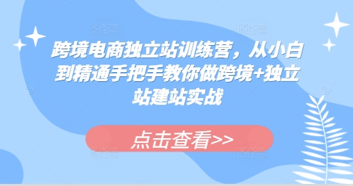 跨境电商独立站训练营，从小白到精通手把手教你做跨境+独立站建站实战好迷你资源网-免费知识付费资源项目下载实战训练营好迷你资源网