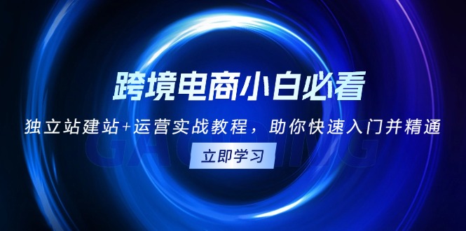 跨境电商小白必看！独立站建站+运营实战教程，助你快速入门并精通好迷你资源网-免费知识付费资源项目下载实战训练营好迷你资源网