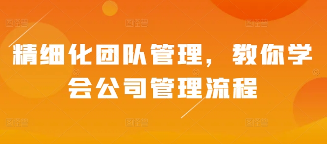 精细化团队管理，教你学会公司管理流程网赚教程-副业赚钱-互联网创业-手机赚钱-网赚项目-98副业网-精品课程-知识付费-网赚创业网98副业网