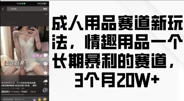 成人用品赛道新玩法，情趣用品一个长期暴利的赛道，3个月收益20个网赚教程-副业赚钱-互联网创业-手机赚钱-网赚项目-98副业网-精品课程-知识付费-网赚创业网98副业网