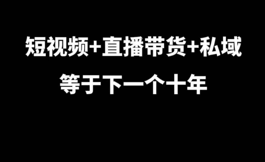 短视频+直播带货+私域等于下一个十年，大佬7年实战经验总结网赚项目-副业赚钱-互联网创业-资源整合神点网赚