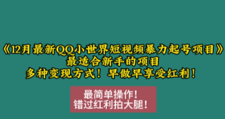 12月最新QQ小世界短视频暴力起号项目，最适合新手的项目，多种变现方式网赚项目-副业赚钱-互联网创业-资源整合神点网赚