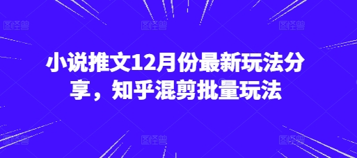 小说推文12月份最新玩法分享，知乎混剪批量玩法网赚项目-副业赚钱-互联网创业-资源整合神点网赚