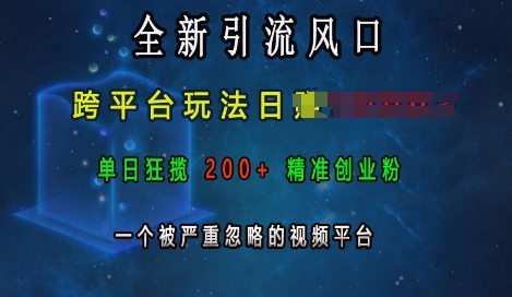 全新引流风口，跨平台玩法日入上k，单日狂揽200+精准创业粉，一个被严重忽略的视频平台网赚教程-副业赚钱-互联网创业-手机赚钱-网赚项目-98副业网-精品课程-知识付费-网赚创业网98副业网