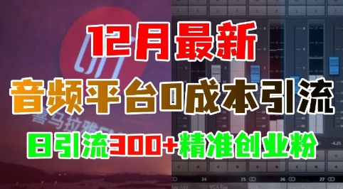 12月最新：音频平台0成本引流，日引流300+精准创业粉好迷你资源网-免费知识付费资源项目下载实战训练营好迷你资源网