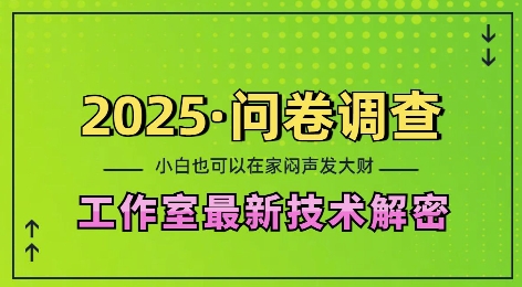 2025问卷调查最新工作室技术解密：一个人在家也可以闷声发大财，小白一天2张，可矩阵放大网赚教程-副业赚钱-互联网创业-手机赚钱-网赚项目-98副业网-精品课程-知识付费-网赚创业网98副业网