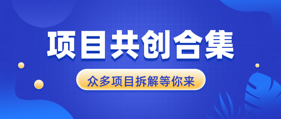 项目共创合集，从0-1全过程拆解，让你迅速找到适合自已的项目网赚项目-副业赚钱-互联网创业-资源整合零八资源站