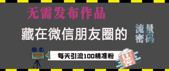 藏在微信朋友圈的流量密码，无需发布作品，单日引流100+精准创业粉网赚教程-副业赚钱-互联网创业-手机赚钱-网赚项目-98副业网-精品课程-知识付费-网赚创业网98副业网