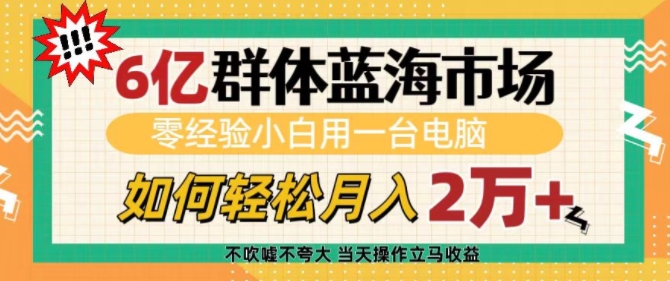 6亿群体蓝海市场，零经验小白用一台电脑，如何轻松月入过w好迷你资源网-免费知识付费资源项目下载实战训练营好迷你资源网