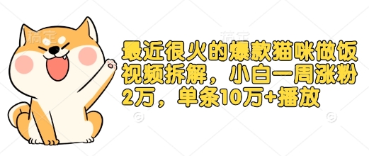 最近很火的爆款猫咪做饭视频拆解，小白一周涨粉2万，单条10万+播放(附保姆级教程)好迷你资源网-免费知识付费资源项目下载实战训练营好迷你资源网