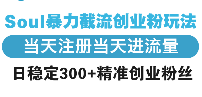 Soul暴力截流创业粉玩法，当天注册当天进流量，日稳定300+精准创业粉丝网赚项目-副业赚钱-互联网创业-资源整合点知成金