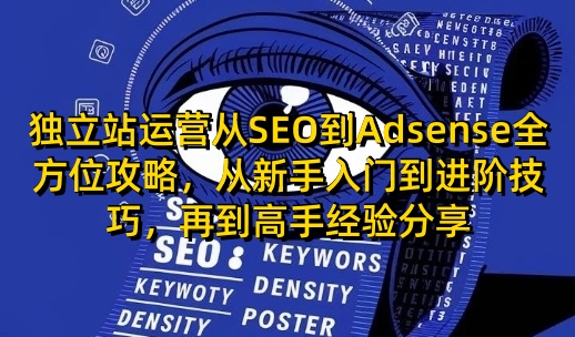 独立站运营从SEO到Adsense全方位攻略，从新手入门到进阶技巧，再到高手经验分享-梦落网