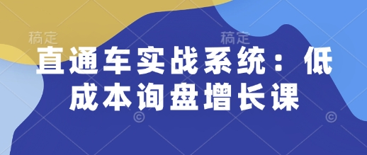 直通车实战系统：低成本询盘增长课，让个人通过技能实现升职加薪，让企业低成本获客，订单源源不断-小禾网创