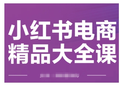 小红书电商精品大全课，快速掌握小红书运营技巧，实现精准引流与爆单目标，轻松玩转小红书电商网赚项目-副业赚钱-互联网创业-资源整合四水哥网创网赚