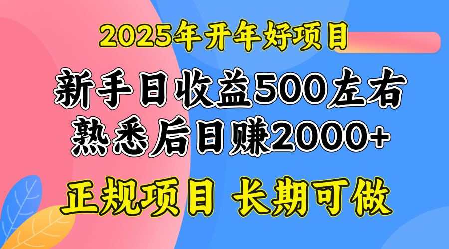 2025开年好项目，单号日收益2000左右网赚教程-副业赚钱-互联网创业-手机赚钱-网赚项目-98副业网-精品课程-知识付费-网赚创业网98副业网