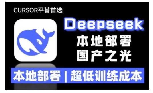 2025年deepseek R1 大型模型本地安装部署(文件+教程)本地部署，超低训练成本好迷你资源网-免费知识付费资源项目下载实战训练营好迷你资源网